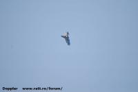 Imagine atasata: Timisoara Air Show 2015 - 2015.07.19 - 386.jpg